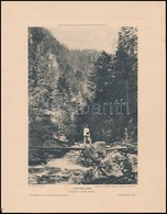 1901 Nagyszeben, Hohe Rinne Panziót ábrázoló 3 Fénnyomat / 3 Haliogravures Of The Hohe Rinne At Hermannstadt 14x20 Cm - Non Classificati