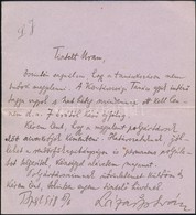 1918 Ládai István (1873-1936) Későbbi Helyettes Igazságügyi Népbiztos, Majd Népbiztos, Köztársasági Tanács Tag Saját Kéz - Non Classificati