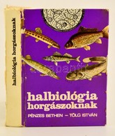 Pénzes Bethen -Tölg István: Halbiológia Horgászoknak. Bp., 1977. Natura. Kissé Kopott Gerinccel - Zonder Classificatie