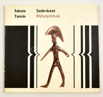 Fekete Tamás: Szobrászat. Bp., 1982, Corvina. Papírkötésben, Jó állapotban. - Non Classificati