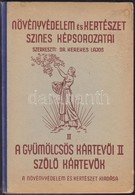 Növényvédelem és Kertészet Színes Képsorozatai. II. Kötet. Szerk.: Kerekes Lajos. A Gyümölcs Kártevői II. Szőlő Kártevők - Unclassified