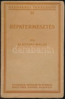 Dr. Bittera Miklós: Répatermesztés. Gazdasági Tanácsadó 32. Bp.,[1929], Athenaeum,160 P. Szövegközti Illuszrációkkal. Ki - Non Classés