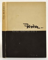 Toll és Ecset. Klasszikus Magyar Költők Versei Hincz Gyula Rajzaival . Bp., 1965. Kozmosz- Egászvászon Kötésben - Non Classificati