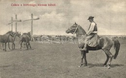 T2 1910 Hortobágy, Csikós A Hármas Kútnál. Divald Károly - Non Classificati