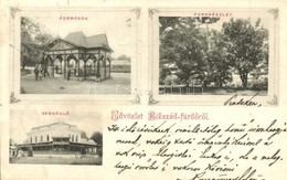 T2/T3 Bikszád-fürdő, Baile Bixad; Források, Park, Vendéglő / Springs, Park, Restaurant (EK) - Ohne Zuordnung