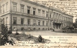 T2/T3 1906 Kolozsvár, Cluj; Magy. Kir. Gazdasági Tanintézet. Kiadja Schuster Emil / Agricultural Farm School, Economic A - Non Classés