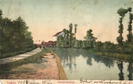 T4 1907 Lugos, Lugoj; Spanyol Malom. Kiadja Nemes Kálmán / Water Mill, Road (EM) - Non Classés