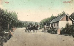 T2/T3 Zilah, Zalau; Erzsébet Liget, Lovaskocsi, Létra. Kiadja Seres Samu / Horse-drawn Carriage, Ladder, Park (EK) - Non Classés