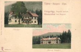 * T3/T4 Tátra, Tatry; Virágvölgy (Poprád Mellett), Váralja és Havasi Tündér Nyaralók. Feitzinger Ede 568. L. / Blumentha - Non Classificati