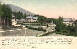 T2 1906 Tátraszéplak, Weszterheim, Tatranska Polianka; Nagyszalóki Csúcs, Szálloda, Nyaralók / Westerheim M. Schlagendor - Non Classés