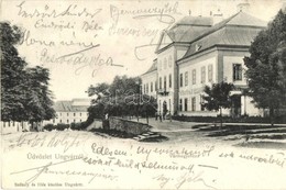 T2/T3 Ungvár, Vármegyeháza / County Hall (EK) - Ohne Zuordnung