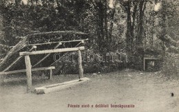 * T2 Deliblát, Deliblato; Fácánetető A Delibláti Homokpusztán / Pheasant Feeder In Deliblato Sands - Unclassified