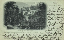 T2 1900 Sinaia, Castelul Regal / Castle - Ohne Zuordnung