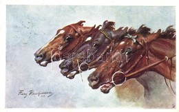 T2/T3 1910 Horses.  I. Internationale Jagdausstellung Wien S: Franz Reichmann (wet Damage) - Non Classificati