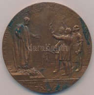 Ausztria 1908. 'Ferenc József Uralkodásának 60. évfordulójára' Fém Emlékérem Hiányzó Hátlappal (74mm) T:3
Austria 1908.  - Non Classés