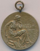 Nagy-Britannia 1913. 'XVII. Nemzetközi Orvostudományi Kongresszus London' Kétoldalas Br Medál Füllel (31mm) Szign.: CB ( - Unclassified