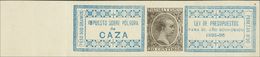 (*). 1895. 20 Cts Azul Y Negro. POLVORA DE CAZA. MAGNIFICO. (Alemany 35) - Autres & Non Classés