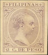 **93s. 1891. 2 Ctvos Violeta Castaño. SIN DENTAR. MAGNIFICO Y RARISIMO. Edifil 2019: +++210 Euros - Filippine