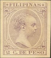 **93s. 1891. 2 Ctvos Violeta Castaño. SIN DENTAR. MAGNIFICO Y RARISIMO. Edifil 2019: +++210 Euros - Filipinas