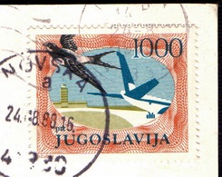 YUGOSLAVIA - JUGOSLAVIA - POST CARD  Inflation  SWALLOW - 1988 - Golondrinas