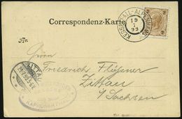 ÖSTERREICH 1899 (19.7.) Seltener 2K: KESSELFALL-ALPENHAUS = Hauspostamt Schutzhütte + Viol. HdN: HOTEL MOSERBODEN.. KAPR - Sin Clasificación