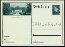 Mannheim 1930 8 Pf. BiP Ebert: Planetarium Mit Amtl. Lochung:  D R U C K P R O B E , Ungebr., Aufl. Nur 300 Für Weltpost - Astronomy