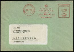 (13b) GENDORF (OBERBAY)- W E R K / FARBWERKE/ HOECHST AG../ WERK GENDORF 1958 (9.7.) AFS = Seltenes Hauspostamt Farbwerk - Chimie