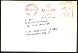 (22c) LEVERKUSEN-BAYERWERK/ BAYER/ Castrix/ Gegen/ Feldmäuse 1961 (24.2.) Seltener AFS = Hauspostamt , Klar Gest. Castri - Chimica