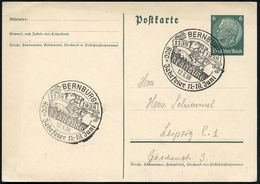 BERNBURG/ 800-Jahrfeier 11.-19.Juni/ 1138 1938 1938 (17.6.) Dekorativer SSt = Turnier-Ritter 2x Klar Auf Inl.-Kt. (Bo.3) - Sonstige & Ohne Zuordnung