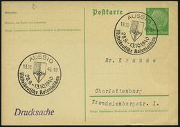 AUSSIG/ Mitteldeutsche Kolonialschau 1940 (13.10.) SSt = NS-Reichs-Kolonialflagge , Inl.-Kt. (Bo.2) - Luftwaffen-Feldpos - Autres & Non Classés