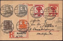 WEIMAR/ D/ NATIONAL=/ VERSAMMLUNG 1919 (7.8.) SSt 6x A. Inl.-Sonder-P 10 Pf. Nat.-Vers. (Mi.P 115) + 10 Pf. Nat.Vers. U. - Otros & Sin Clasificación