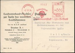 DRESDEN A1/ Reichsnährstand/ Blut U.Boden/ Landesbauernschaft Sachsen (Freistaat) 1934 (6.10.) Sehr Seltener, Ungenormte - Sonstige & Ohne Zuordnung