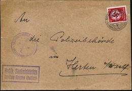 SCHWERIN (MECKL)/ NSDAP/ 1925-1935/ 10 Jahre Gau Meckl -Lübeck 1935 (1.6.) SSt Auf EF 12 Pf. Behördendienst (Mi.D 138 EF - Other & Unclassified