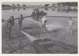 Evènements - Catastrophe - Ecologie - Au Large De L'Ile De Batz 29 - Naufrage Marée Noire Pétrolier  "Tanio" - Mars 1980 - Katastrophen