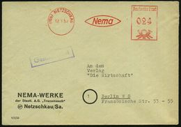 (10b) NETZKAU/ Nema 1952 (21.2.) AFS  Typ "Posthorn" Auf Seltener Firmen-Bf.: NEMA-WERKE Der Staatl. A.G. "Transmasch".. - Altri & Non Classificati
