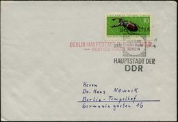 BERLIN N 4/ AUFBAU/ ZENTRUM/ BERLIN/ HAUPTSTADT DER/ DDR 1963 (29.12.) HWSt + Roter West-berliner Gegen-stempel: BERLIN  - Other & Unclassified
