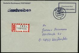 3301 BRUMBY/ B 1992 (19.6.) DDR-1K + Alter DDR-RZ: O-3301 Brumby/b , Klar Gest. Postdienst-R-Bf.  - Wild Lebende Säugeti - Other & Unclassified