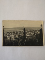Israel // Haifa (Postcard? No Adreslines) Vue // 19?? - Israele