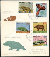 POLEN 1966 (5.3.) Prähistor. Tiere, Kompl.Satz + ET-SSt.: WARSZAWA 1 (Mammut) 4 Ausl.-FDC-SU. (Mi.1655/63) - Reederei /  - Autres & Non Classés