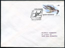 RUMÄNIEN 1994 (12.12.) 4 Verschied. SSt: 3400 CLUJ NAPOCA 1/MUZEUL ZOOLOGIC Je Mit Passender EF 46 L., 171 L., 216 L. U. - Autres & Non Classés