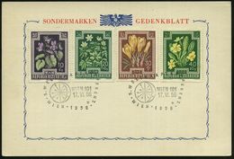 ÖSTERREICH 1956 (17.6.) SSt.: WIEN 101/11/WELTKRAFTKONFERENZ = U.N.-Energie-Konferenz (Blitzsymbol) 2x Rs. Auf Inl.-Kt.  - Altri & Non Classificati