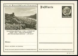 Heidelberg 1938 6 Pf. BiP Hindenbg. Braun: Reichsfestspiele.. Aug.1938 "Faust" I. Teil - "Götz V.Berlichingen", "Der Wid - Schriftsteller