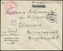 GNADENFREI/ *1a 1917 (8.10.) 1K-Gitter + Zensur-2K: Offizier-Gefangenenlager/Post-/Postprüfungsstelle/F.a./ Gnadenfrei + - Croix-Rouge