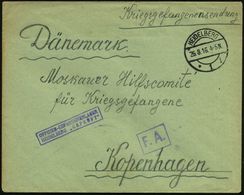 HEIDELBERG/ *1i 1916 (26.8.) 1K + Viol. Ra.2: OFFIZIER-GEFANGENENLAGER/HEIDELBERG "GEPRÜFT" + Ra.:"F.A." , Kgf-Bf. An Mo - Croce Rossa