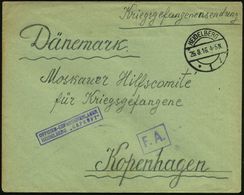 HEIDELBERG/ *1i 1916 (26.8.) 1K + Viol. Ra.2: OFFIZIER-GEFANGENENLAGER/HEIDELBERG "GEPRÜFT" + Ra.:"F.A." , Kgf-Bf. An Mo - Cruz Roja