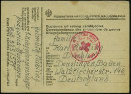 JUGOSLAWIEN /  MONTENEGRO 1946 (17.5.) Roter Rotkreuz-2K: BEOGRAD Auf Kgf.-Vordr.-Kt. (dreisprachiger Vordruck) Hs. Abs. - Cruz Roja