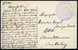 RUSSLAND 1916 (19.2.) Viol. 3K-Briefstempel: Provisorischer Militär-Sanitätszug 1030 , Klar Gest. Feldpost-Ak. (Jarosche - Medicina