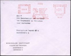 NIEDERLANDE 1957 (24.5.) AFS: AMSTERDAM/1230/KONINKLIJK/INSTITUUT/VOOR DE/TROPEN.. (indones. Landschaft Mit Palmen) Inl. - Médecine