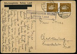 BELZIG ERHOLUNGSHEIM/ Belzig Land 1932 (15.1.) Viol. Ra., PSt.II  = Hauspostamt Siemens-Erholungsheim (ab 1931) + 1K-Ste - Médecine