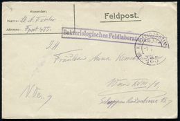 ÖSTERREICH 1917 (1.10.) 1K: K.u.k. FELDPOSTAMT/a/485 + Viol. Ra.: Bakteriologisches Feldlaboratorium Nr.40 , Feldpost-Bf - Maladies